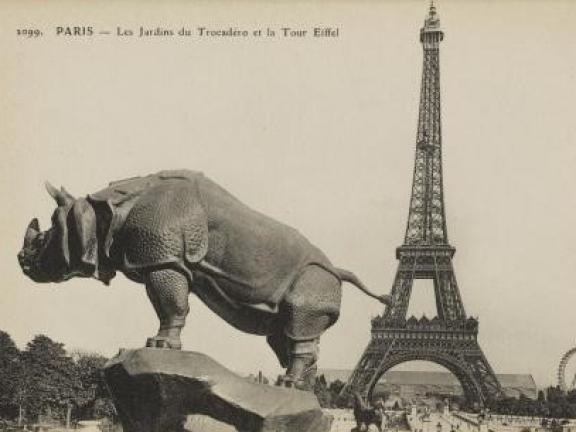 Carte postale du jardin du Trocadéro